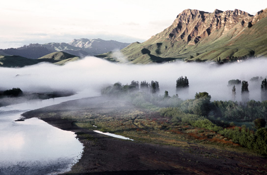 wine-beer-store-phoenix-july-wine-club-craggy-fog